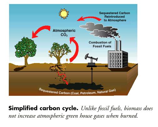 DIERET Biomass